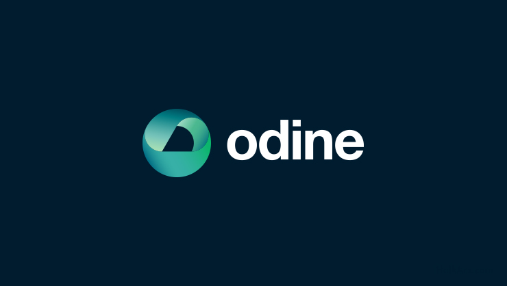 Odine Solutions Teknoloji Halka Arzı: Süre ve Lot Detayları